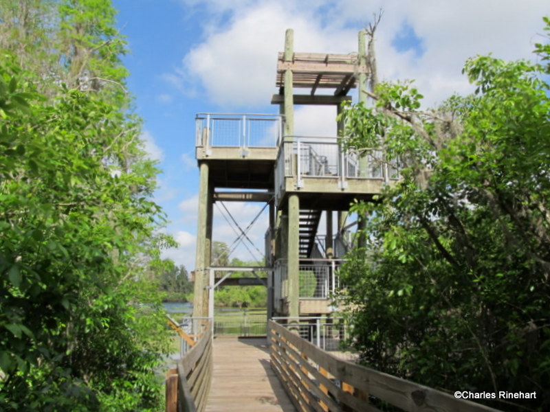 Lettuce Lake Park In Tampa Florida