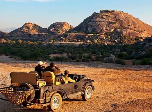 Jeep Safari At Rawla Narlai