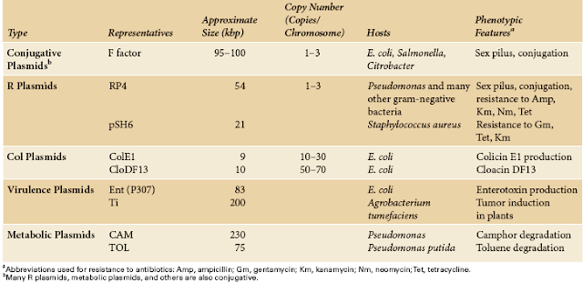 Types of  Bacterial Plasmids
