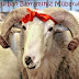 Qurban Bayramı Təbrik Mesajları 2018