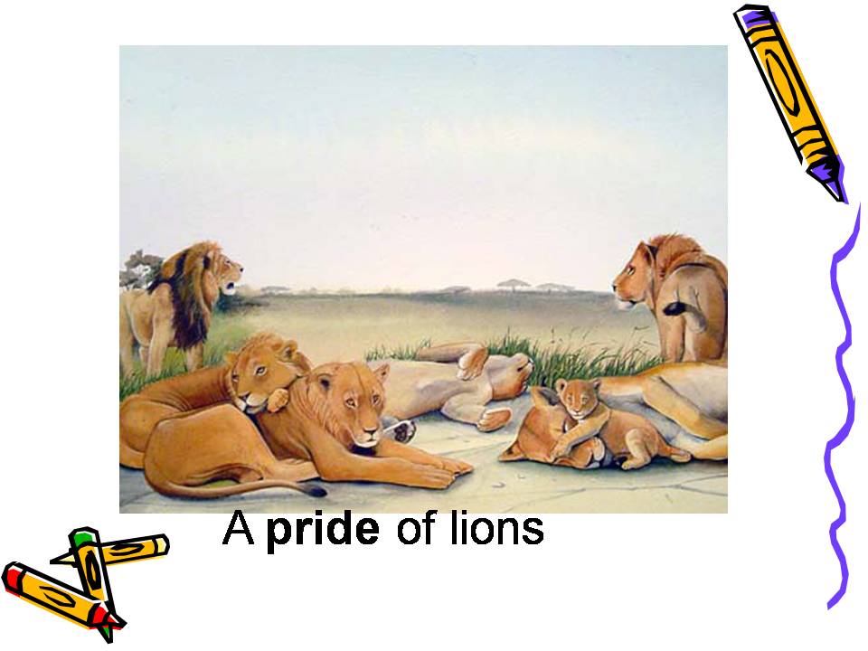 FPS eagles Power pack PresentationsCollective Nouns (Grade IV)