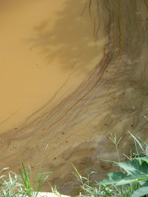 Kolam ikan penuh misteri Kolam ikan penuh misteri