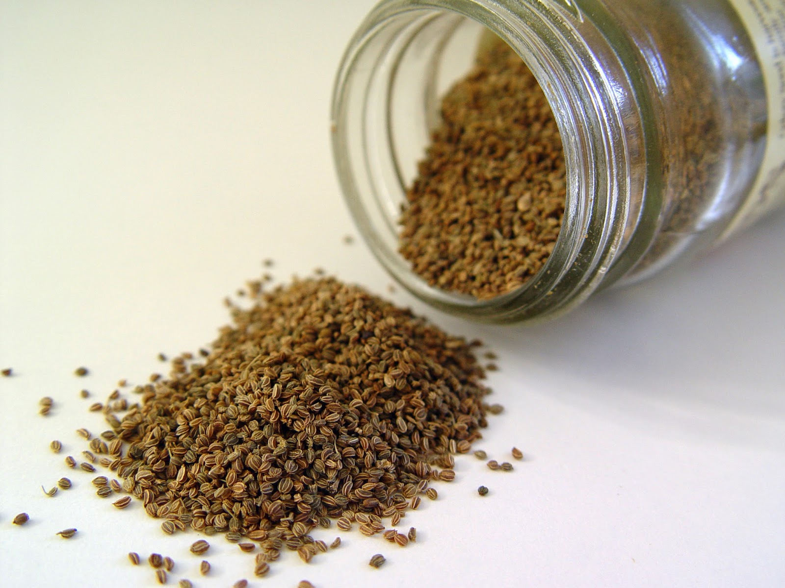 Celery seeds to plant