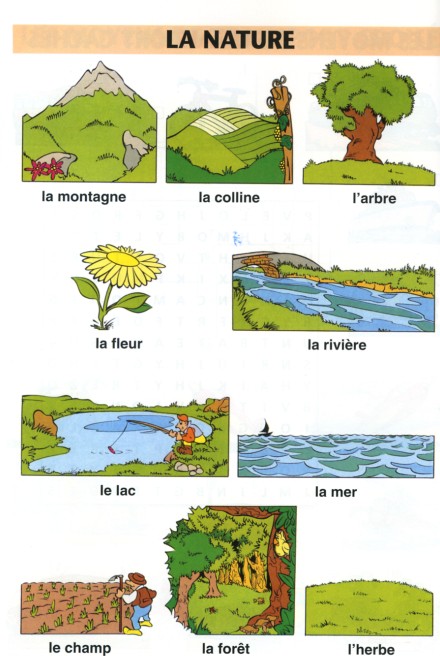https://4.bp.blogspot.com/-mfT2oAgXfHg/Vswf9tnk9TI/AAAAAAAAgFw/3ru5Q9A7NEg/s1600/La%2Bnature.jpg Przyroda - słownictwo 2 - Francuski przy kawie