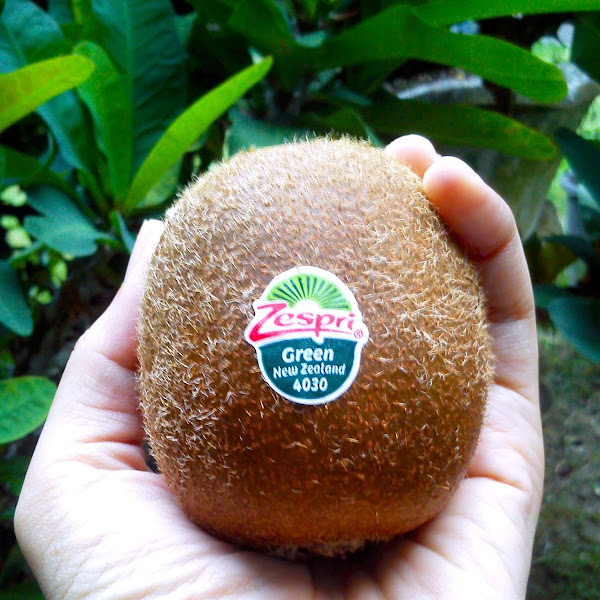 Buah Kiwi Zespri