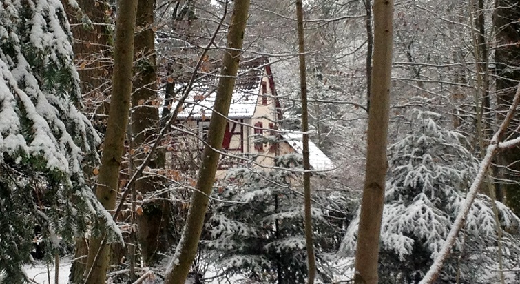 Odenwald im Winter