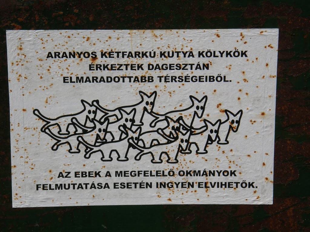P7090501.JPG