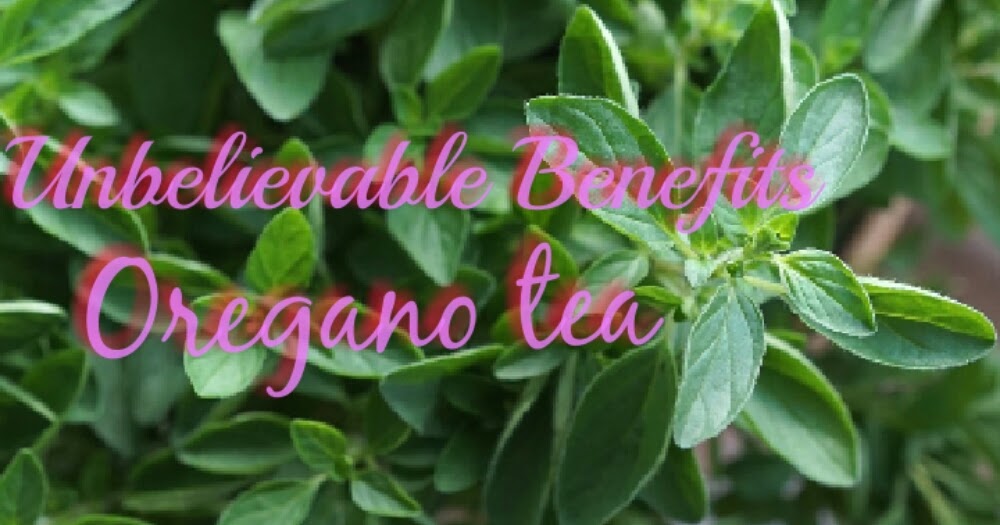 Unbelievable Benefits of Oregano tea. you know about it