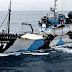 This Incredible Organization Just Ended Illegal Fishing In Antarctica