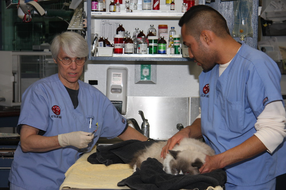 TLC Pet Medical Centers