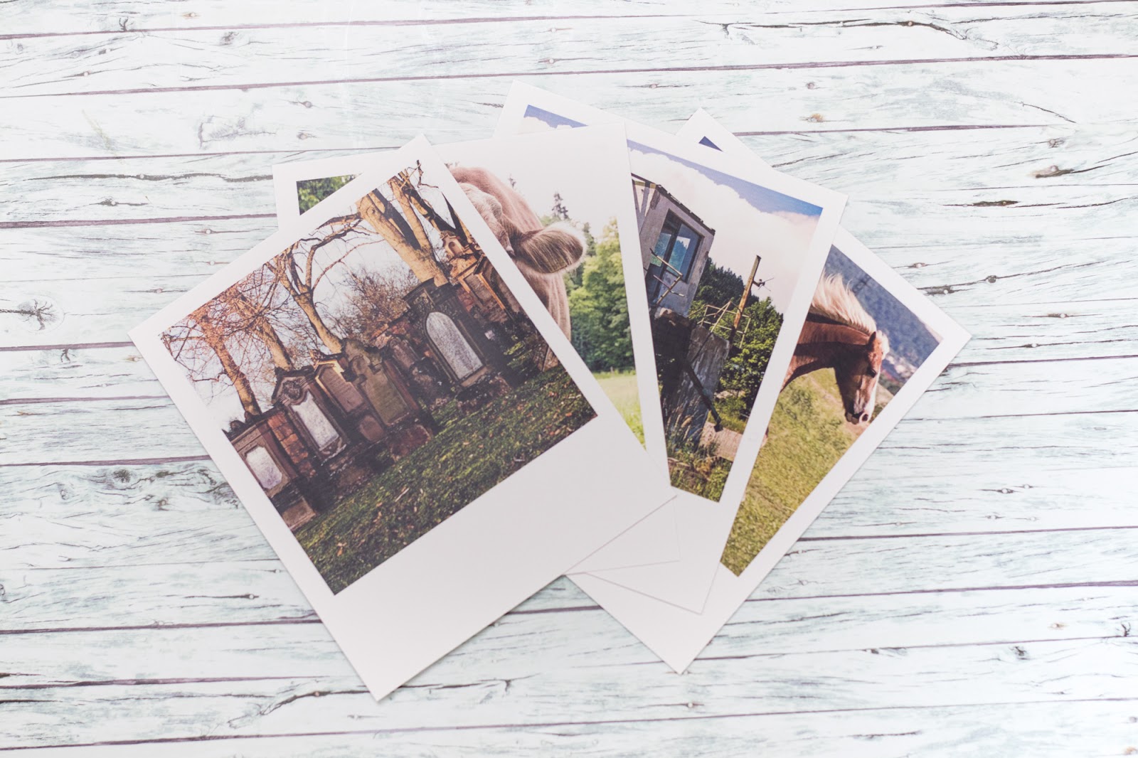 PolaroidStyle Prints von Fotoparadies be fabulous
