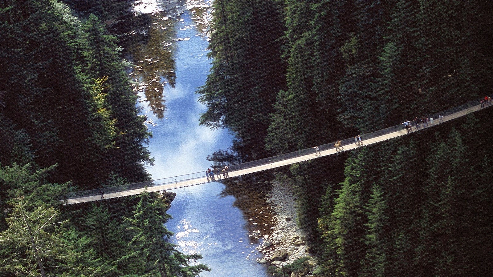 Movers Move Capilano Suspension Bridge British Columbia