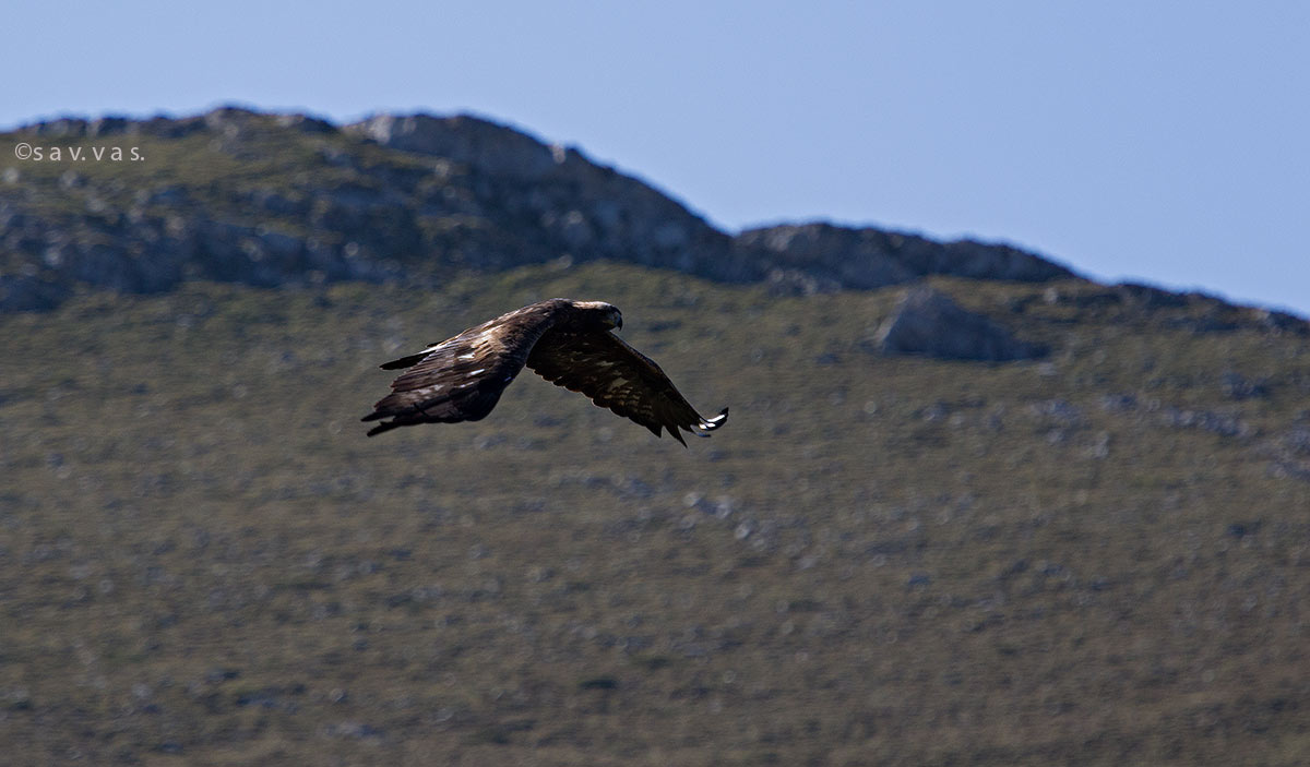 Mount Olympus Μερικές στιγμές της καθημερινότητας ενός υπέροχου