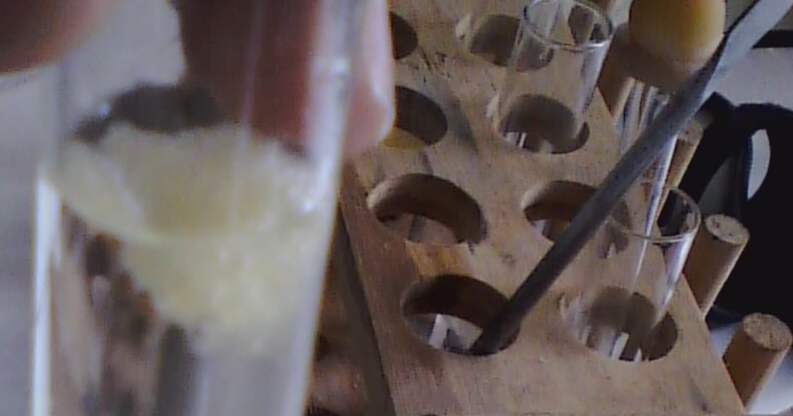 Isolasi Dna Buah Pisang Belajar Euy
