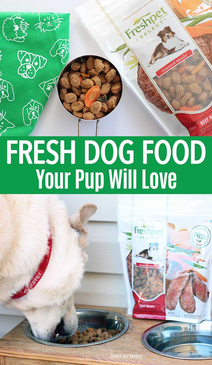 Fresh Dog Food Your Pup Will Love Sunny Day Family