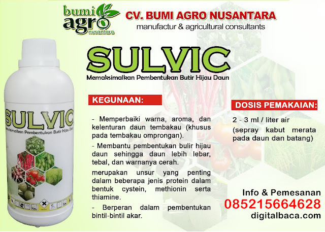 Sulvic, Pembentukan Butir Hijau Daun fungsi unsur hara bagi tumbuhan, proses pembentukan gula menjadi pati, pembentukan pati, sintesis sukrosa, fungsi unsur hara makro dan mikro bagi tanaman, gejala kelebihan unsur hara pada tanaman, fungsi unsur hara pdf, fungsi unsur hara secara umum, pupuk yang mengandung nitrogen tinggi, pupuk nitrogen organik, pupuk nitrogen cair, pupuk nitrogen tinggi, cara membuat pupuk urea terbaru, cara membuat pupuk hantu sendiri, cara membuat pupuk urea cair, jenis pupuk mengandung nitrogen,