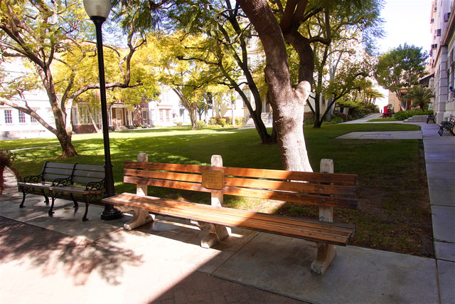 Forrest Gump bench on the Paramount Studio Tour - Hollywood, CA