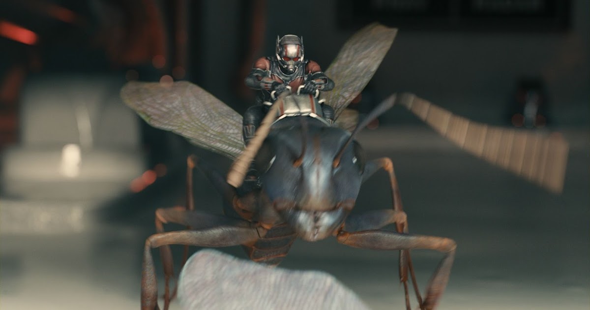 Homem-Formiga tem direção de Peyton Reed (Sim Senhor) - Purebreak