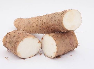 How To Start Yam Farming In Nigeria How To Start Yam Farming In Nigeria
