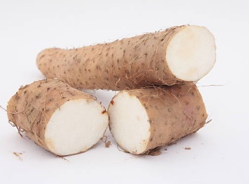 How To Start Yam Farming In Nigeria