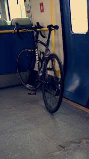 Stolen Bicycle - Specialised Tri Cross