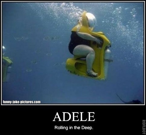 Adele Rolling In The Deep Meme ~ Funny Joke Pictures