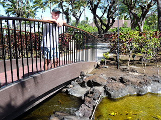 Keoki at fish ponds of Mauna Lani Bay Hotel