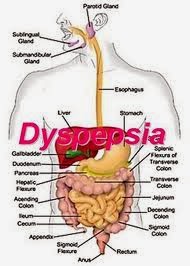 Penyakit Dispepsia Penyakit Dispepsia