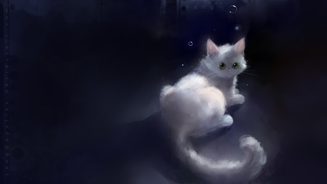 gato blanco gato blanco