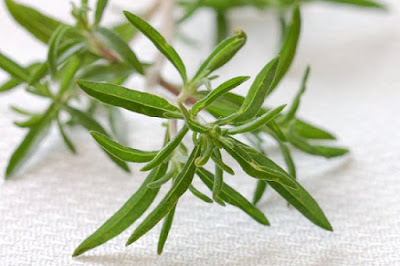 Θρούμπι, ένα μπαχαρικό…. φάρμακο