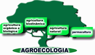 Conceitos de Agroecologia Conceitos de Agroecologia