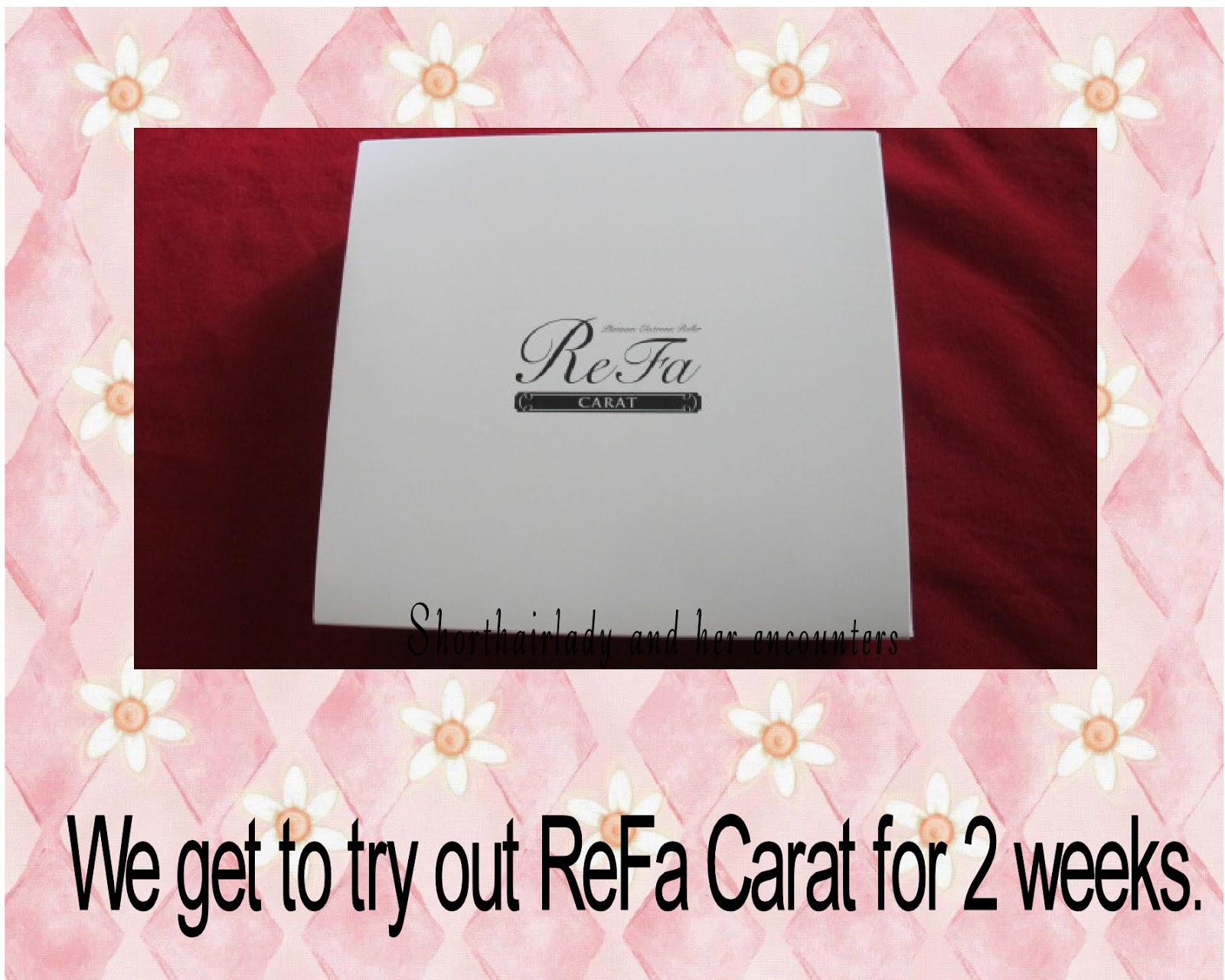 Shorthairlady & her encounters: Review of ReFa Carat