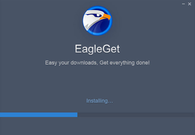 EagleGet