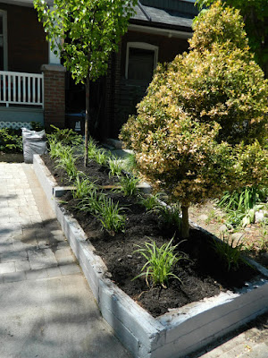 The Pocket front garden renovation after  Paul Jung Gardening Services Toronto