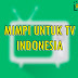 Mimpi Untuk TV Indonesia
