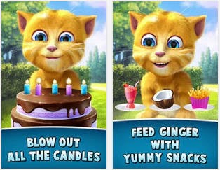 Organizing a birthday party for Ginger Cat 2