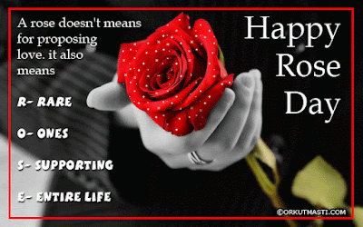 great latest beautiful and cute rose day special images for lovers great latest beautiful and cute rose day special images for lovers