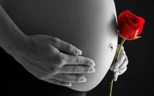 Se você conhece o autor dessa imagem, por favor, nos informe para que possamos atribuir-lhe os devidos créditos. Obrigado. Grávida exibindo sua barriga com uma rosa na mão.