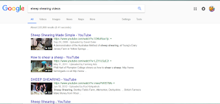 Image of Sheep Shearing Video Search on Google