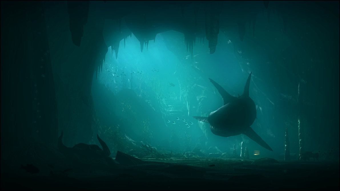 Fish Wallpapers Fish Wallpapers