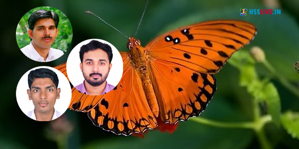 Bio -zoology practical guide for+2 for tn