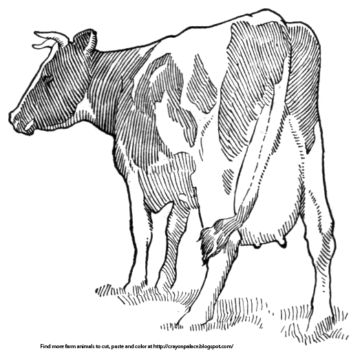 A Holstein Milking Cow | Crayon Palace