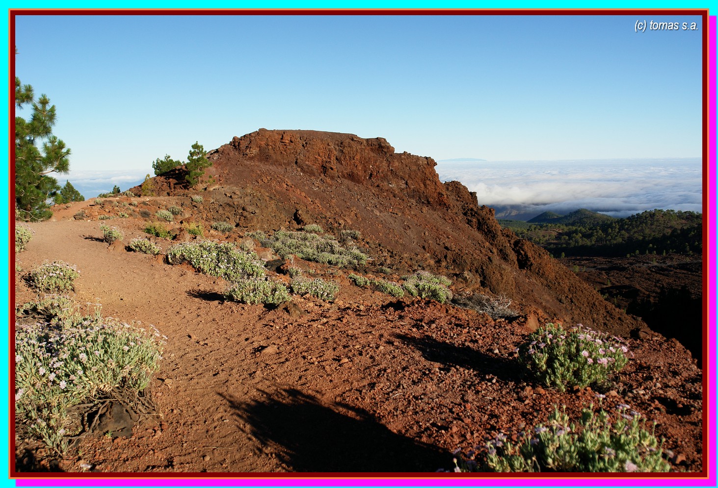Tenerife senderos...... TENERIFE SENDEROS TEIDE MONTAÑA SAMARA