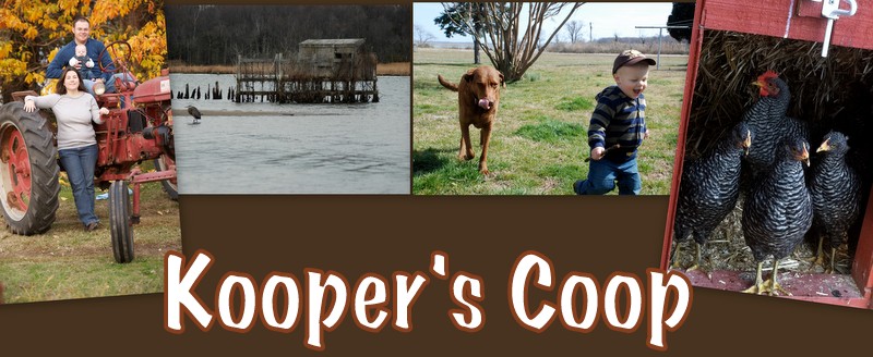 Kooper's Coop