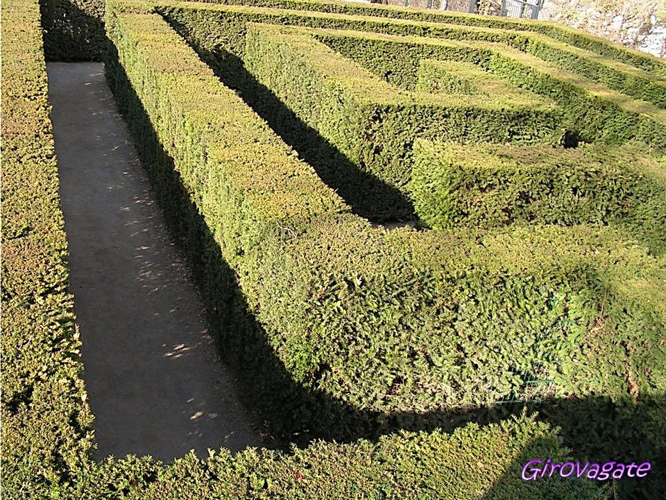 reggia schonbrunn vienna