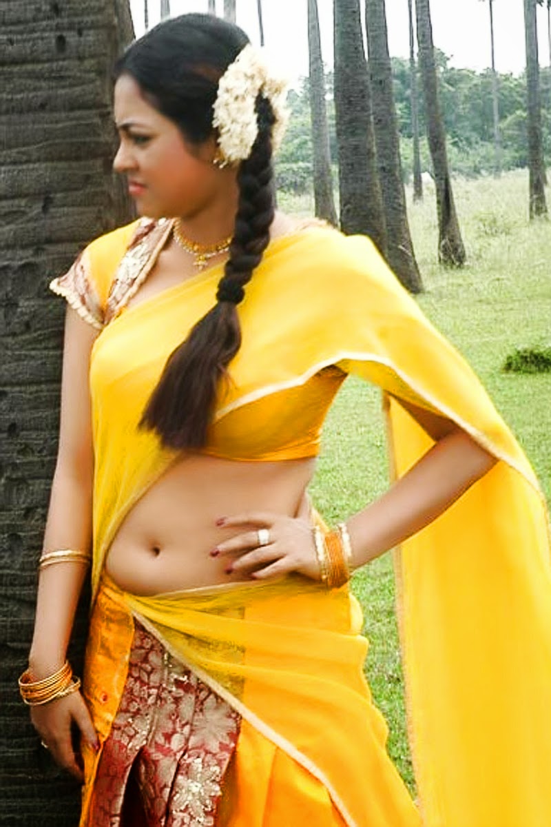 South Indian Actress Meenakshi Hot Navel Show In Half Yellow Saree 