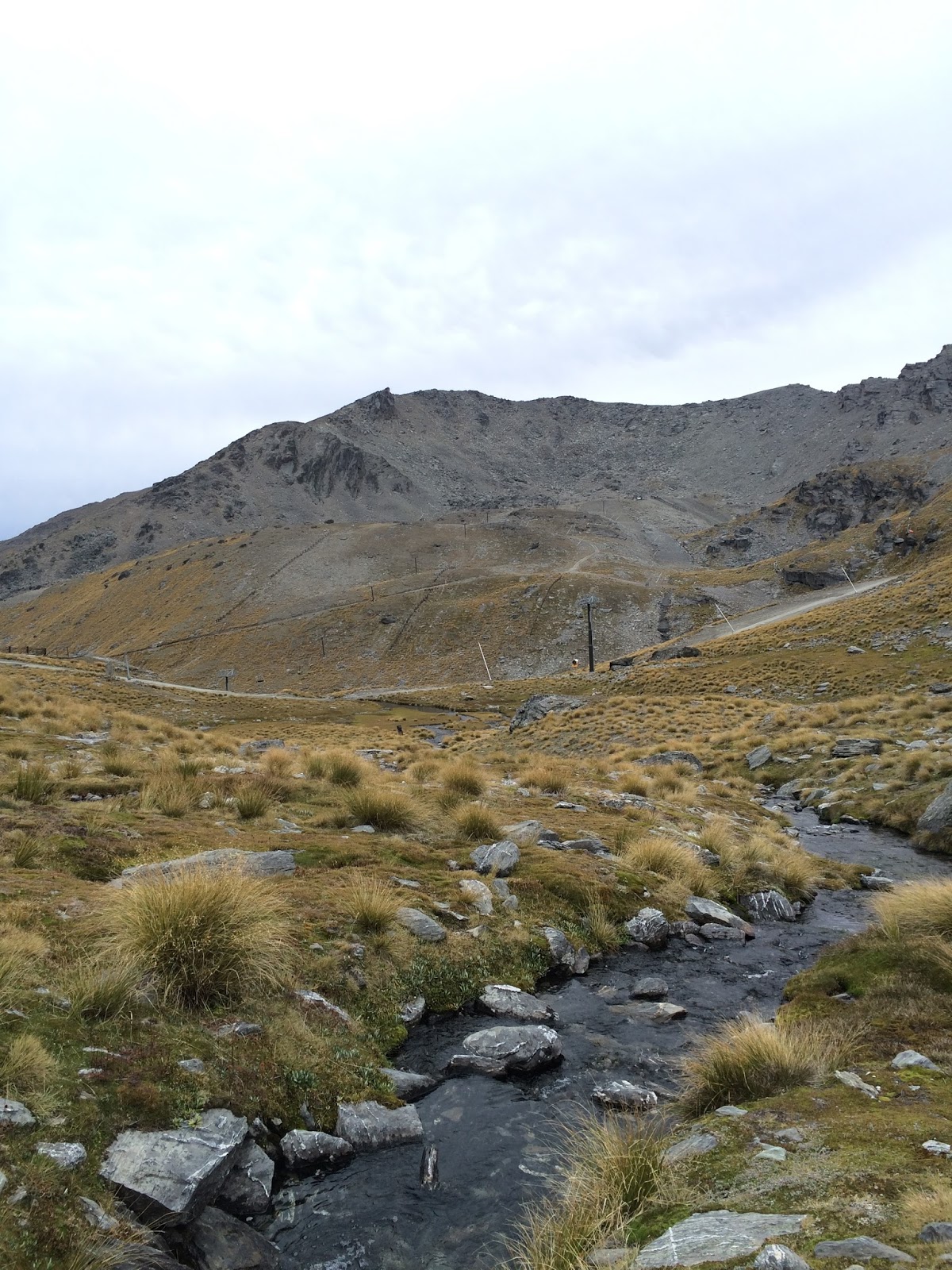 New Zealand's Best Hikes | Lake Alta The Remarkables