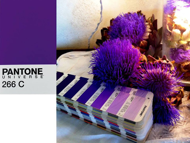 Liliterrània: * PURPLE: PANTONE 266 C
