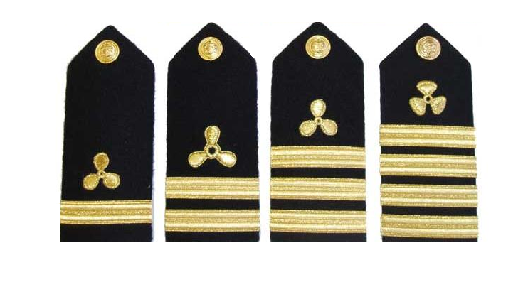 A Program that you should take to earn 1,200$ up to 15,000$