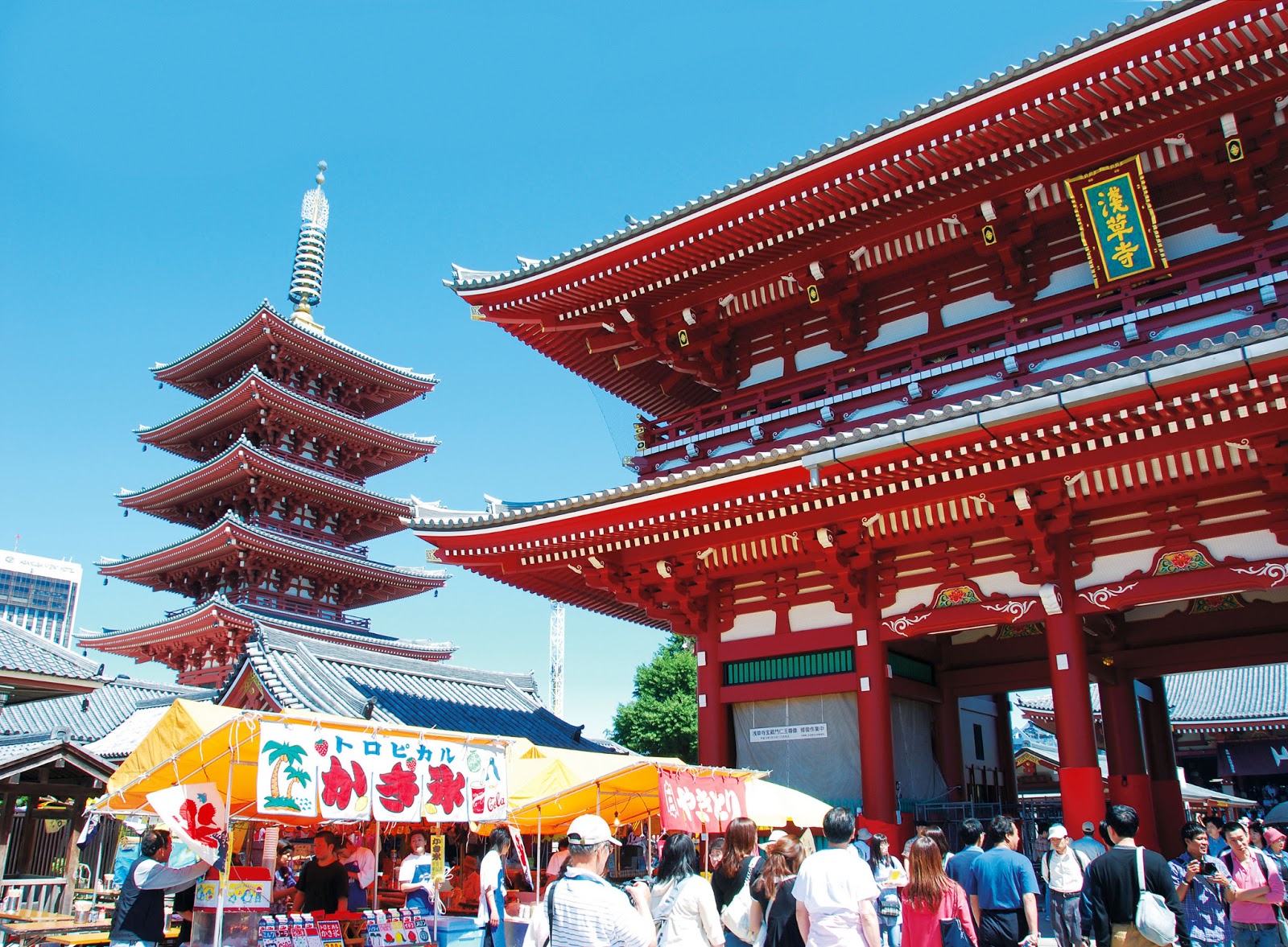 good places to visit in tokyo Pagoda chureito jepun | Wedding Ceremony